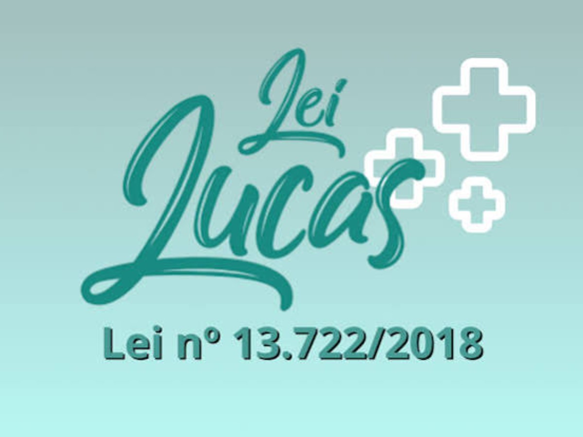 Primeiros Socorros ( Lei Lucas )